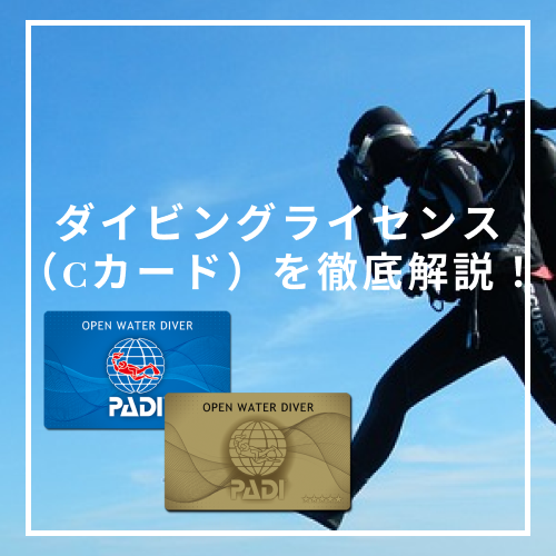 PADI の付き指導マニュアルガイド (ホログラム付き）ダイビング